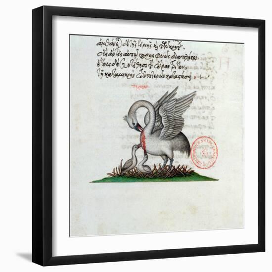 A Pelican Piercing Its Breast to Feed Its Young, from a Bestiary by Manuel Philes, 1566-null-Framed Premium Giclee Print