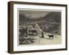 A Pen of Reindeer-Samuel Edmund Waller-Framed Giclee Print