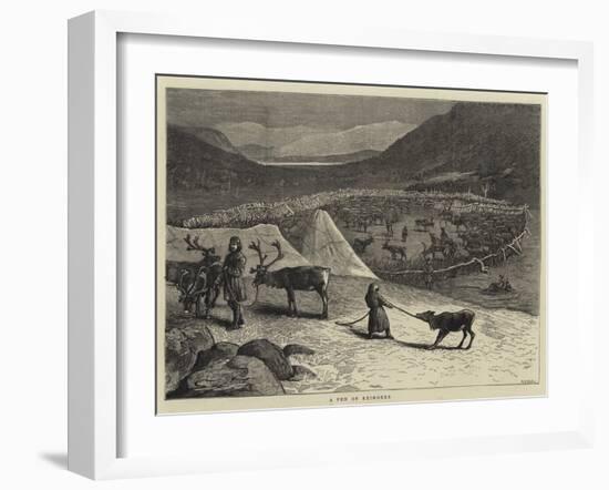 A Pen of Reindeer-Samuel Edmund Waller-Framed Giclee Print