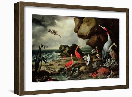 A Penguin, a Pair of Flamingoes, and Other Exotic Birds, Shells, and Coral on the Shoreline-Philip Reinagle-Framed Giclee Print