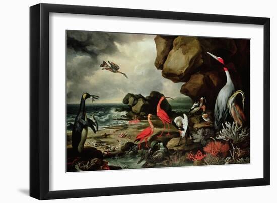 A Penguin, a Pair of Flamingoes, and Other Exotic Birds, Shells, and Coral on the Shoreline-Philip Reinagle-Framed Giclee Print