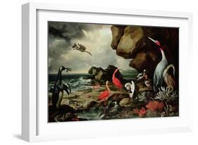 A Penguin, a Pair of Flamingoes, and Other Exotic Birds, Shells, and Coral on the Shoreline-Philip Reinagle-Framed Giclee Print