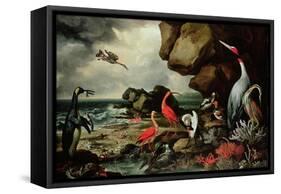 A Penguin, a Pair of Flamingoes, and Other Exotic Birds, Shells, and Coral on the Shoreline-Philip Reinagle-Framed Stretched Canvas