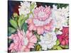 A Peony Cluster-Joanne Porter-Stretched Canvas