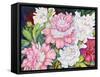 A Peony Cluster-Joanne Porter-Framed Stretched Canvas