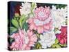 A Peony Cluster-Joanne Porter-Stretched Canvas