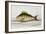 A Perch-E. Albin-Framed Giclee Print