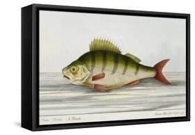 A Perch-E. Albin-Framed Stretched Canvas