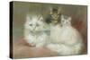 A Persian Cat and Her Kittens-Maud D. Heaps-Stretched Canvas