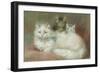 A Persian Cat and Her Kittens-Maud D. Heaps-Framed Giclee Print