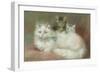 A Persian Cat and Her Kittens-Maud D. Heaps-Framed Giclee Print