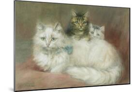 A Persian Cat and Her Kittens-Maud D. Heaps-Mounted Giclee Print