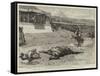 A Persian Derby at Teheran, the Winner of the First Race Falling Dead in Front of the Shah's Tent-null-Framed Stretched Canvas