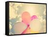 A Person Holding Multi Colored Balloons Done with a Retro Vintage Instagram Filter-graphicphoto-Framed Stretched Canvas