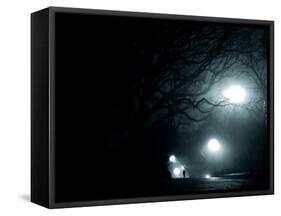 A Person Running in Propsect Park, Brooklyn, New York City-Sabine Jacobs-Framed Stretched Canvas