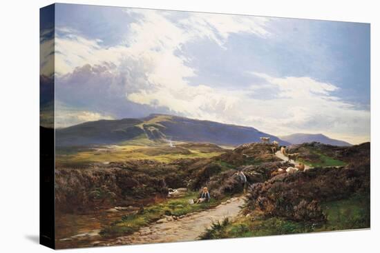 A Perthshire Moor-Sidney Richard Percy-Stretched Canvas