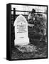 A Pet Cemetery-null-Framed Stretched Canvas
