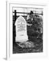 A Pet Cemetery-null-Framed Photographic Print