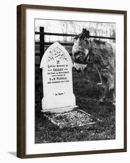 A Pet Cemetery-null-Framed Photographic Print