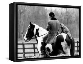 A Pet Fox Sits on the Horse of Its Owner-null-Framed Stretched Canvas