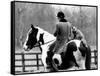 A Pet Fox Sits on the Horse of Its Owner-null-Framed Stretched Canvas