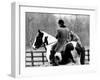 A Pet Fox Sits on the Horse of Its Owner-null-Framed Premium Photographic Print