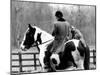 A Pet Fox Sits on the Horse of Its Owner-null-Mounted Premium Photographic Print