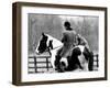 A Pet Fox Sits on the Horse of Its Owner-null-Framed Photographic Print