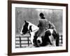 A Pet Fox Sits on the Horse of Its Owner-null-Framed Photographic Print