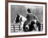 A Pet Fox Sits on the Horse of Its Owner-null-Framed Photographic Print