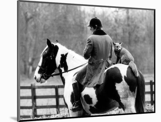 A Pet Fox Sits on the Horse of Its Owner-null-Mounted Photographic Print
