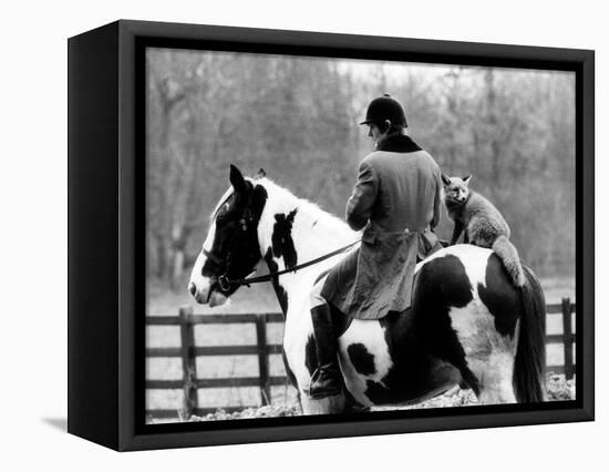 A Pet Fox Sits on the Horse of Its Owner-null-Framed Stretched Canvas