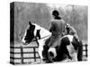 A Pet Fox Sits on the Horse of Its Owner-null-Stretched Canvas