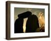 A Pet Owl Sits on a Stone-null-Framed Photographic Print