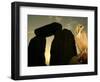 A Pet Owl Sits on a Stone-null-Framed Photographic Print