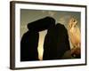 A Pet Owl Sits on a Stone-null-Framed Photographic Print