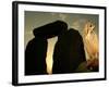A Pet Owl Sits on a Stone-null-Framed Photographic Print