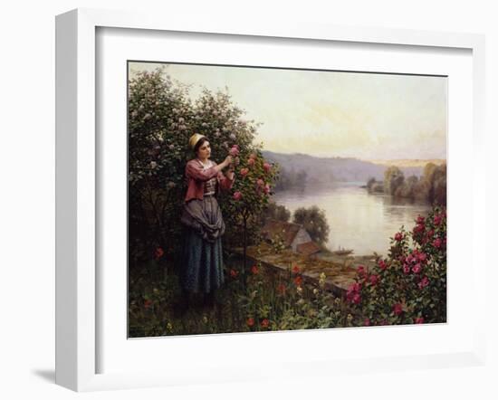 A Pet Rosebush-Daniel Ridgway Knight-Framed Giclee Print