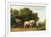 A Phaeton with a Pair of Cream Ponies in the Charge of a Stable-Lad, C.1780-5 (Oil on Panel)-George Stubbs-Framed Giclee Print