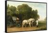 A Phaeton with a Pair of Cream Ponies in the Charge of a Stable-Lad, C.1780-5 (Oil on Panel)-George Stubbs-Framed Stretched Canvas