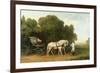 A Phaeton with a Pair of Cream Ponies in the Charge of a Stable-Lad, C.1780-5 (Oil on Panel)-George Stubbs-Framed Premium Giclee Print