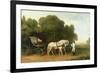 A Phaeton with a Pair of Cream Ponies in the Charge of a Stable-Lad, C.1780-5 (Oil on Panel)-George Stubbs-Framed Premium Giclee Print