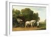 A Phaeton with a Pair of Cream Ponies in the Charge of a Stable-Lad, C.1780-5 (Oil on Panel)-George Stubbs-Framed Giclee Print