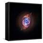 A Phase that Sun-like stars Undergo at the End of their Lives, Cat's Eye Nebula Redux, Chandra data-null-Framed Stretched Canvas