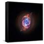 A Phase that Sun-like stars Undergo at the End of their Lives, Cat's Eye Nebula Redux, Chandra data-null-Framed Stretched Canvas