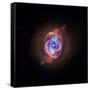 A Phase that Sun-like stars Undergo at the End of their Lives, Cat's Eye Nebula Redux, Chandra data-null-Framed Stretched Canvas