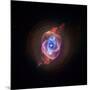 A Phase that Sun-like stars Undergo at the End of their Lives, Cat's Eye Nebula Redux, Chandra data-null-Mounted Photographic Print