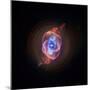 A Phase that Sun-like stars Undergo at the End of their Lives, Cat's Eye Nebula Redux, Chandra data-null-Mounted Photographic Print