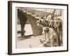 A Photograph of Six Greyhounds, Mainly their Heads, Taken at Wembley Stadium-null-Framed Photographic Print