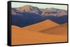 A Photographer on a Sand Dune at Sunrise, Mesquite Dunes, Death Valley-James White-Framed Stretched Canvas